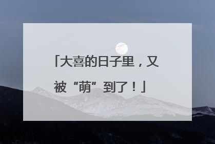 大喜的日子里，又被“萌”到了！