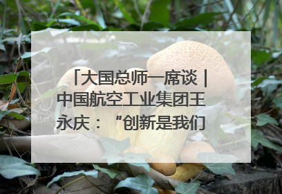 大国总师一席谈｜中国航空工业集团王永庆：“创新是我们的基因密码”