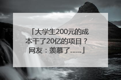 大学生200元的成本干了20亿的项目？网友：羡慕了……