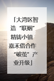 大湾区智造“联姻”精铸小镇 嘉禾借合作“破茧”产业升级