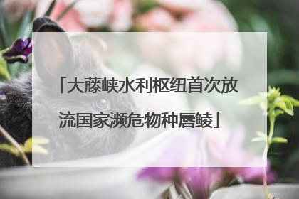 大藤峡水利枢纽首次放流国家濒危物种唇鲮