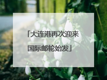 大连港再次迎来国际邮轮始发