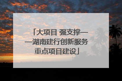 大项目 强支撑——湖南建行创新服务重点项目建设