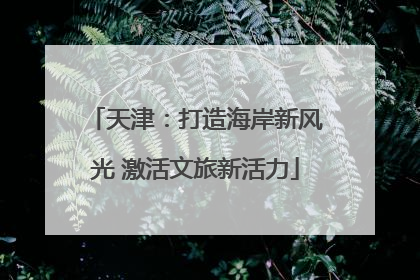 天津：打造海岸新风光 激活文旅新活力