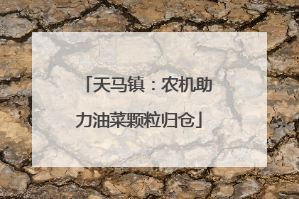 天马镇：农机助力油菜颗粒归仓