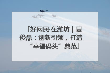 好网民·在潍坊｜夏俊磊：创新引领，打造“幸福码头”典范