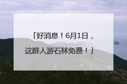 好消息！6月1日，这群人游石林免费！