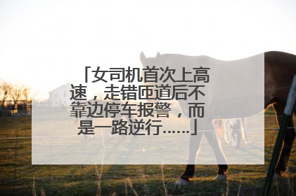 女司机首次上高速，走错匝道后不靠边停车报警，而是一路逆行……