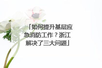 如何提升基层应急消防工作？浙江解决了三大问题
