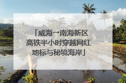 威海→南海新区 高铁半小时穿越网红地标与秘境海岸