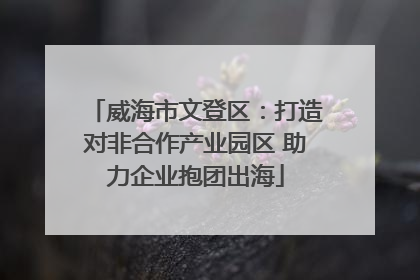 威海市文登区：打造对非合作产业园区 助力企业抱团出海