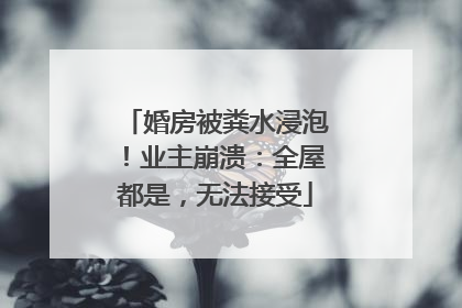 婚房被粪水浸泡！业主崩溃：全屋都是，无法接受