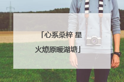 心系桑梓 星火燎原暖湖塘