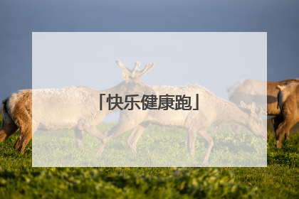 快乐健康跑