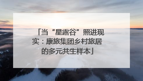 当“星露谷”照进现实：康旅集团乡村旅居的多元共生样本