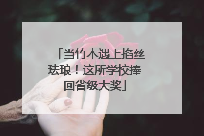 当竹木遇上掐丝珐琅！这所学校捧回省级大奖