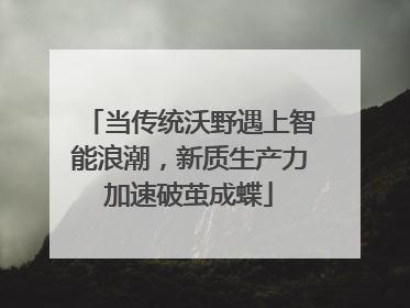 当传统沃野遇上智能浪潮，新质生产力加速破茧成蝶