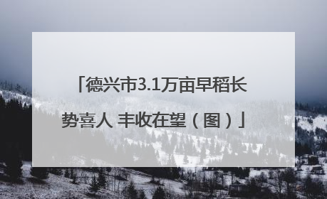 德兴市3.1万亩早稻长势喜人 丰收在望（图）