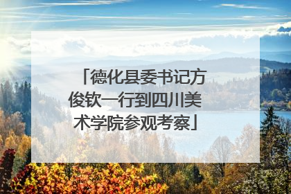 德化县委书记方俊钦一行到四川美术学院参观考察