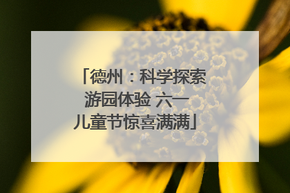 德州：科学探索 游园体验 六一儿童节惊喜满满