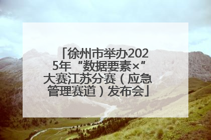 徐州市举办2025年“数据要素×”大赛江苏分赛（应急管理赛道）发布会