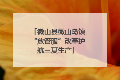 微山县微山岛镇“放管服”改革护航三夏生产