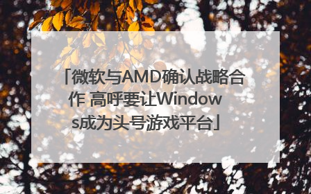 微软与AMD确认战略合作 高呼要让Windows成为头号游戏平台