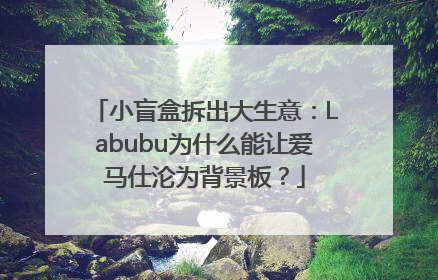 小盲盒拆出大生意：Labubu为什么能让爱马仕沦为背景板？