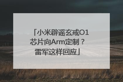 小米辟谣玄戒O1芯片向Arm定制？雷军这样回应