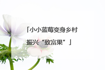 小小蓝莓变身乡村振兴“致富果”