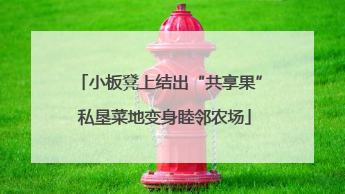 小板凳上结出“共享果” 私垦菜地变身睦邻农场