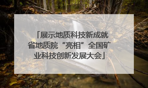 展示地质科技新成就 省地质院“亮相”全国矿业科技创新发展大会