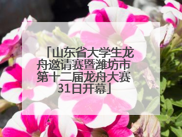 山东省大学生龙舟邀请赛暨潍坊市第十二届龙舟大赛31日开幕