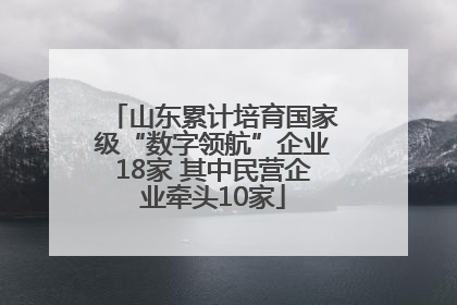 山东累计培育国家级“数字领航”企业18家 其中民营企业牵头10家