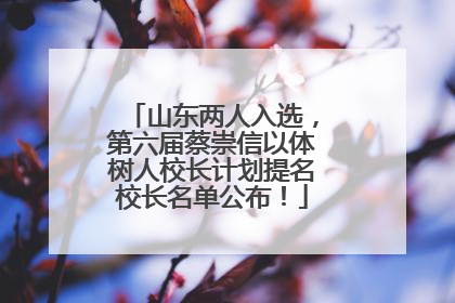山东两人入选，第六届蔡崇信以体树人校长计划提名校长名单公布！