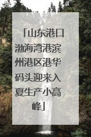 山东港口渤海湾港滨州港区港华码头迎来入夏生产小高峰