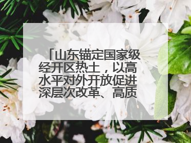 山东锚定国家级经开区热土，以高水平对外开放促进深层次改革、高质量发展