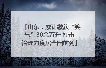 山东：累计缴获“笑气”30余万升 打击治理力度居全国前列