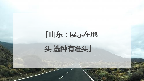 山东：展示在地头 选种有准头