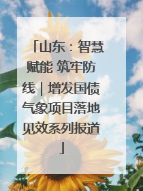山东：智慧赋能 筑牢防线｜增发国债气象项目落地见效系列报道