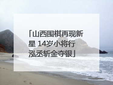 山西围棋再现新星 14岁小将行泓丞斩金夺银