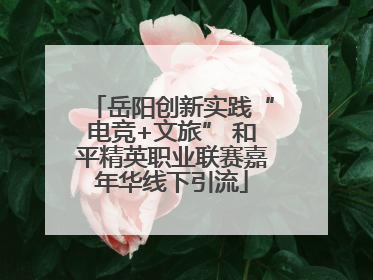 岳阳创新实践“电竞+文旅” 和平精英职业联赛嘉年华线下引流