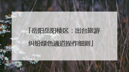 岳阳岳阳楼区：出台旅游纠纷绿色通道操作细则