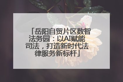 岳阳自贸片区数智法务园：以AI赋能司法，打造新时代法律服务新标杆