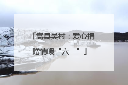 嵩县吴村：爱心捐赠情暖“六一”
