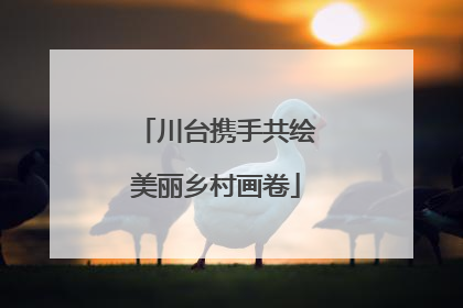 川台携手共绘美丽乡村画卷