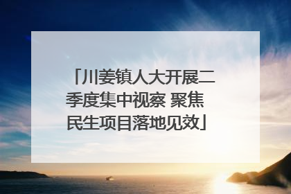 川姜镇人大开展二季度集中视察 聚焦民生项目落地见效
