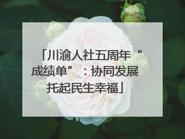 川渝人社五周年“成绩单”：协同发展托起民生幸福