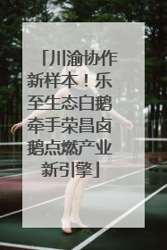川渝协作新样本！乐至生态白鹅牵手荣昌卤鹅点燃产业新引擎