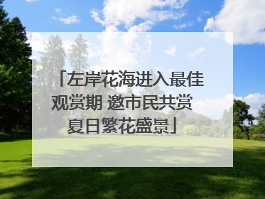 左岸花海进入最佳观赏期 邀市民共赏夏日繁花盛景